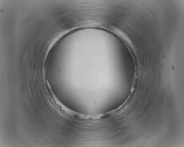 X0000068771332200605191638