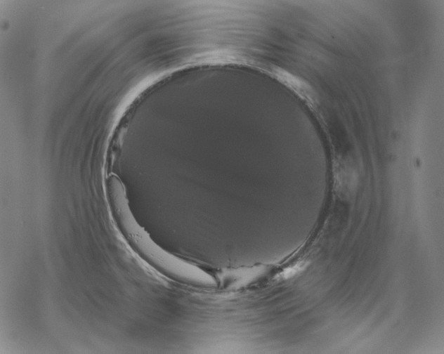 X0000068771334200605191639