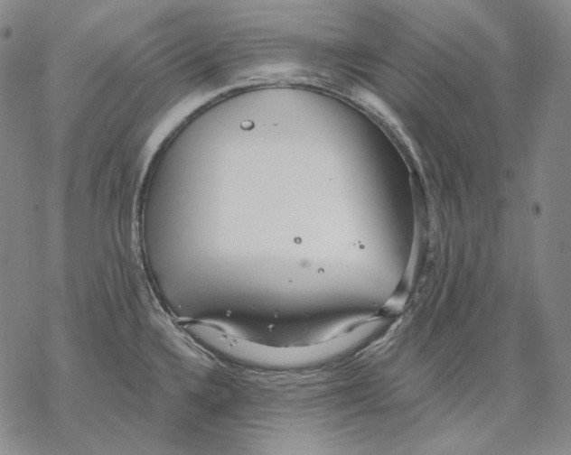 X0000068771336200605191639