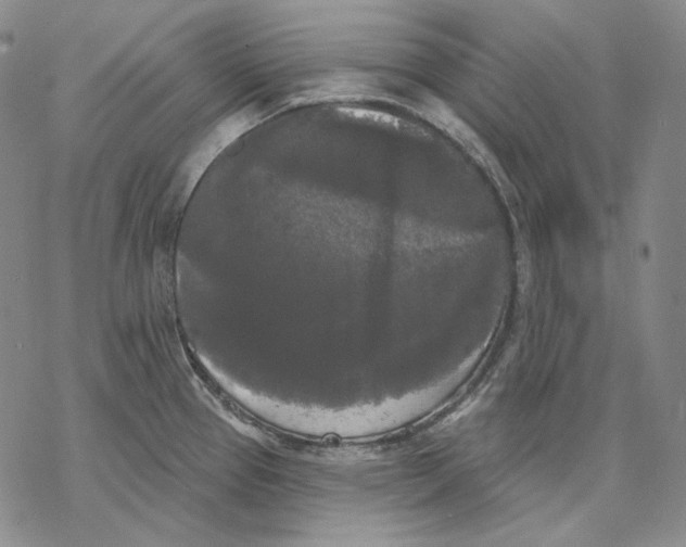 X0000068771337200605191639