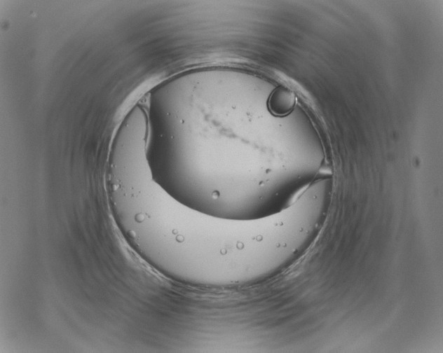 X0000068771338200605191639