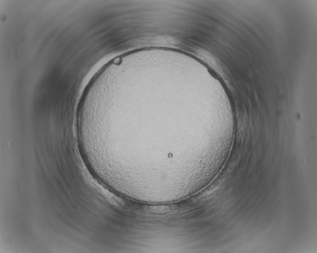 X0000068771339200605191639