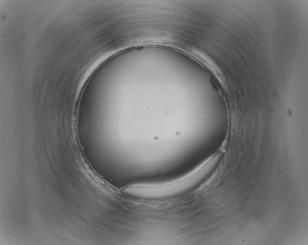 X0000068771340200605191639