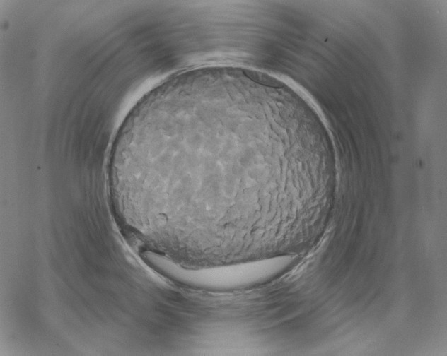 X0000068771341200605191639