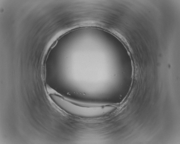 X0000068771342200605191639