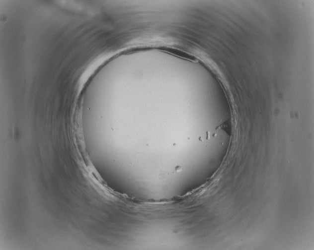 X0000068771344200605191639