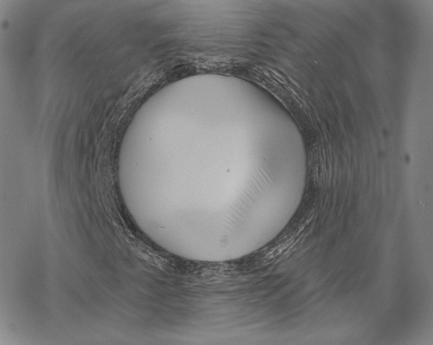 X0000068771345200605191638