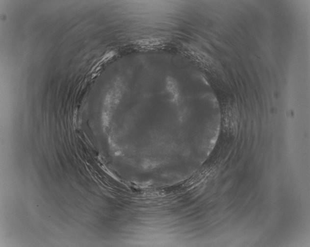 X0000068771346200605191638