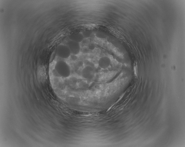 X0000068771347200605191638