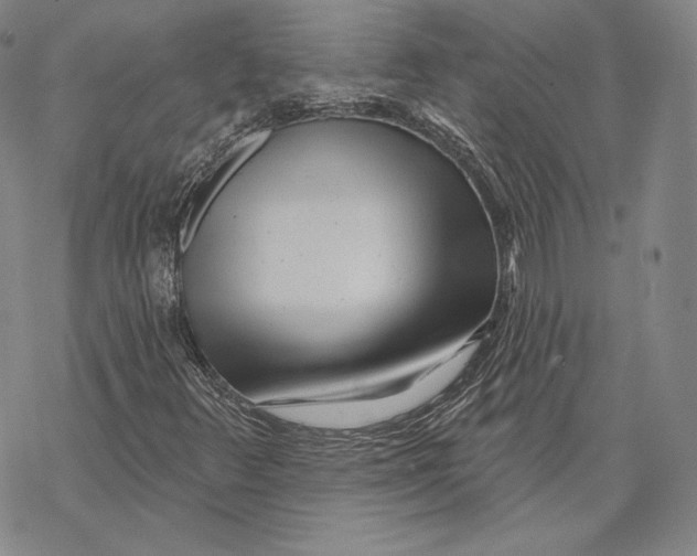 X0000068771348200605191638