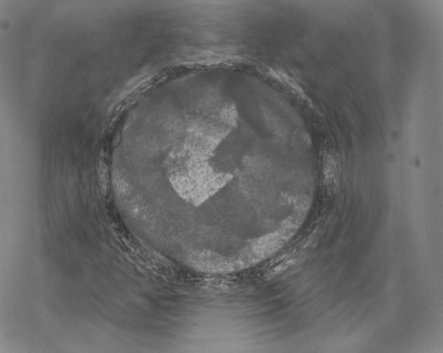 X0000068771350200605191638