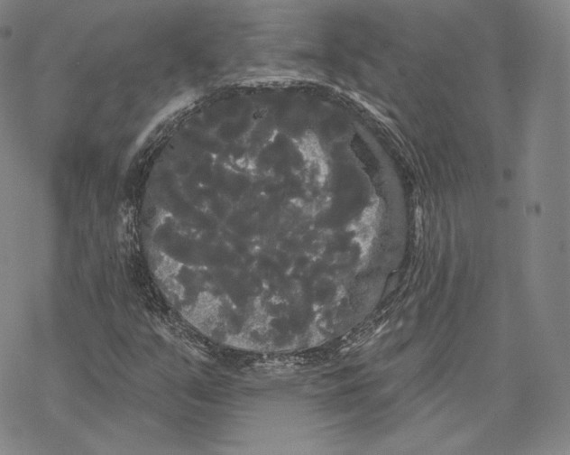 X0000068771351200605191638