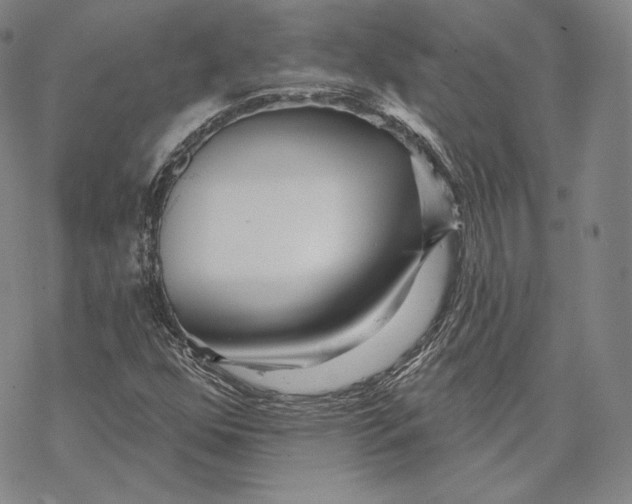 X0000068771352200605191638