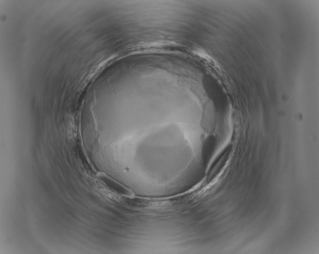 X0000068771353200605191638