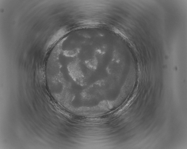 X0000068771354200605191638