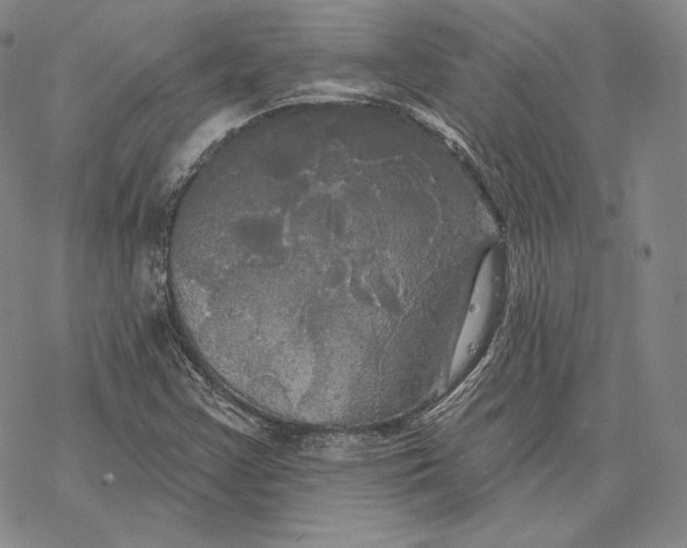 X0000068771355200605191638