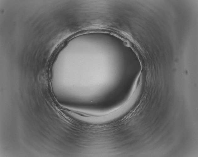 X0000068771356200605191638