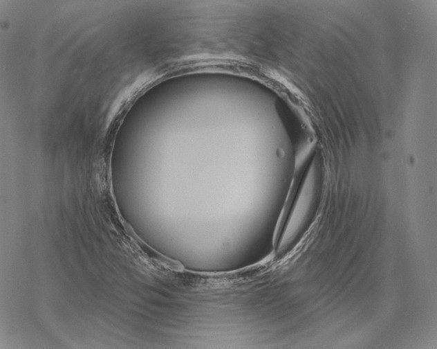 X0000068771357200605191638