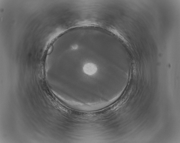 X0000068771358200605191638