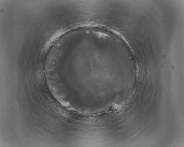 X0000068771359200605191638