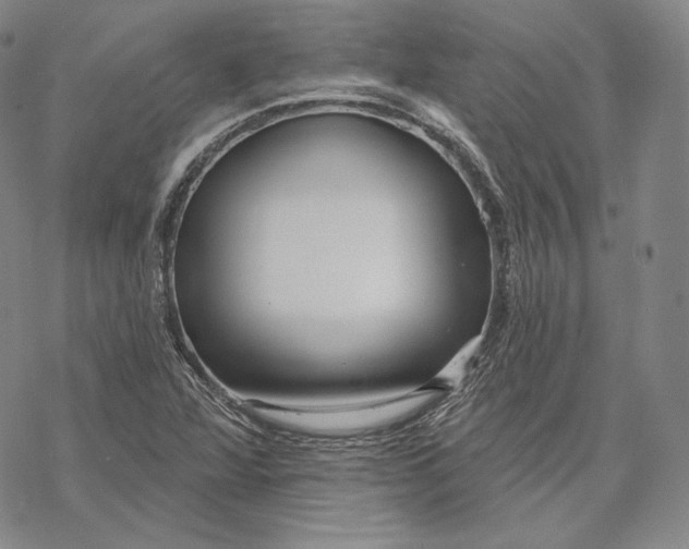 X0000068771360200605191638