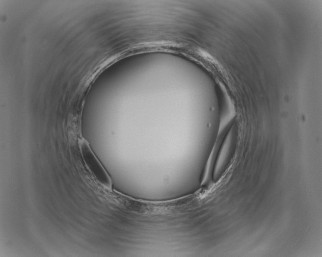 X0000068771361200605191638