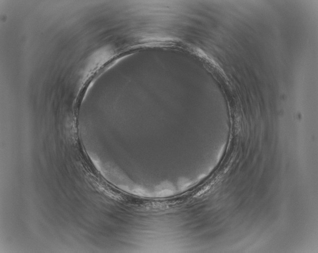 X0000068771362200605191638