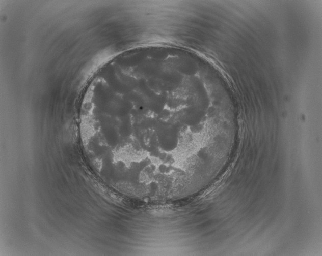 X0000068771363200605191638