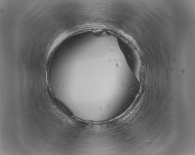 X0000068771365200605191638