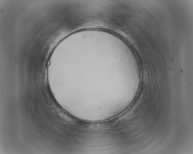 X0000068771366200605191638