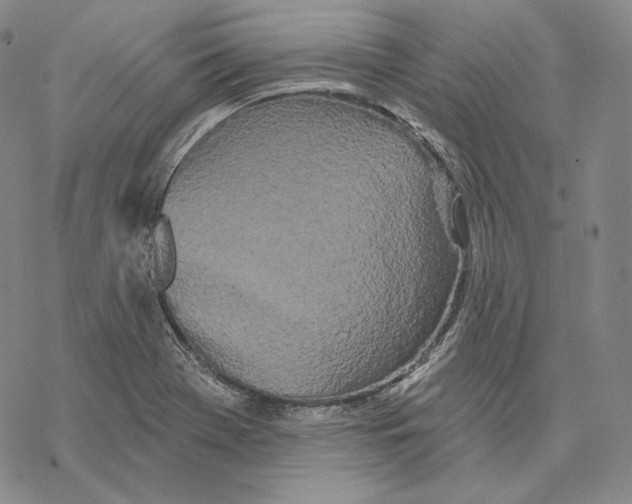 X0000068771369200605191638