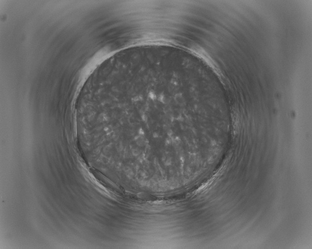 X0000068771371200605191637