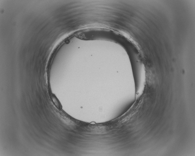 X0000068771372200605191637