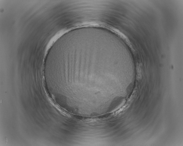 X0000068771373200605191637