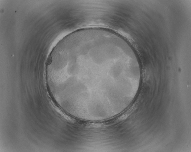 X0000068771374200605191637