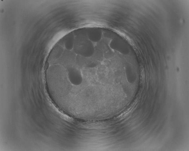 X0000068771375200605191637