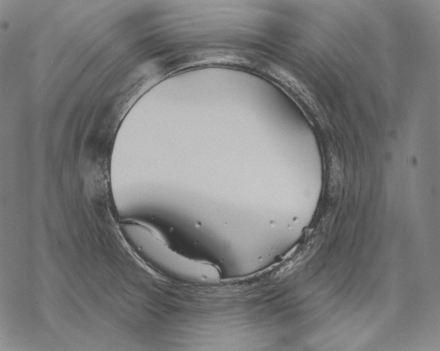 X0000068771377200605191637