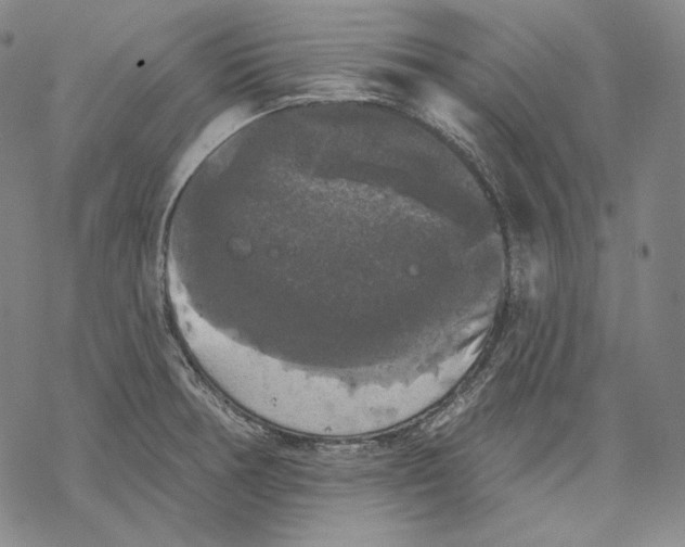 X0000068771378200605191637