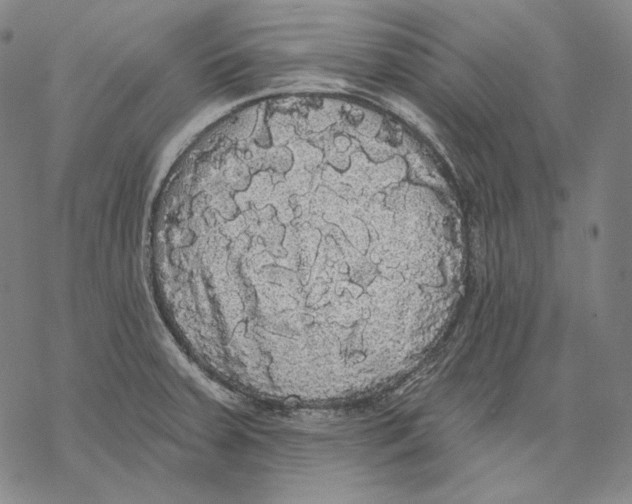 X0000068771379200605191637