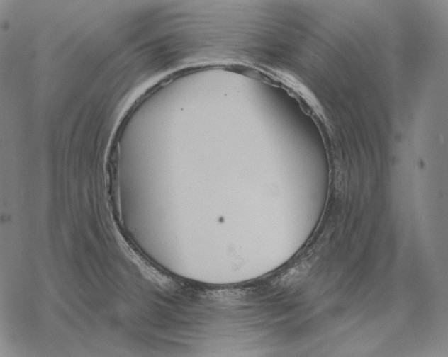 X0000068771380200605191637