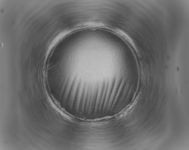 X0000068771381200605191637