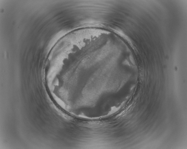 X0000068771383200605191637