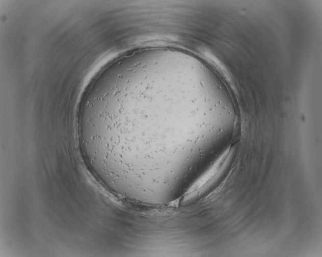 X0000068771384200605191637