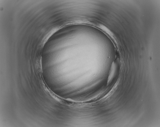 X0000068771385200605191637