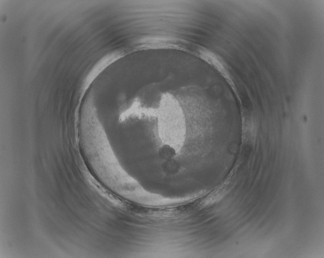 X0000068771386200605191637