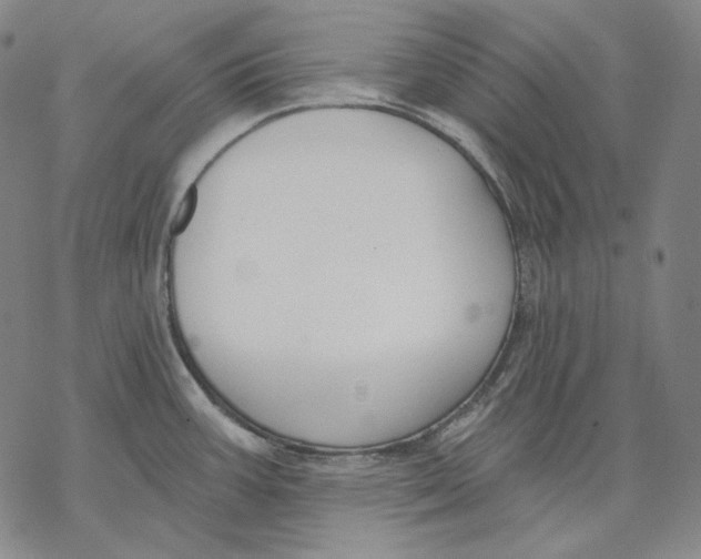 X0000068771387200605191637