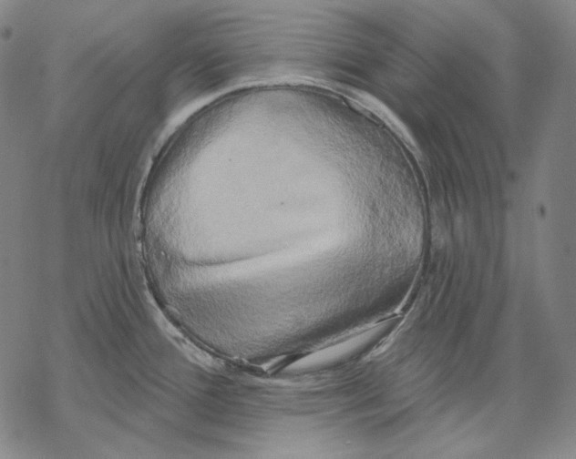 X0000068771388200605191637