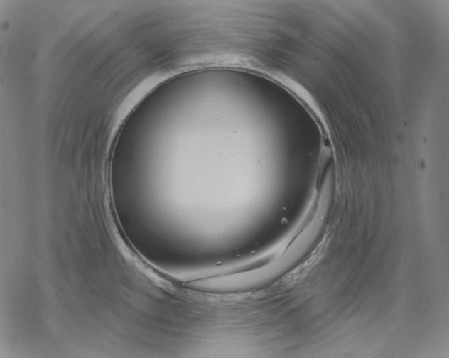 X0000068771389200605191637