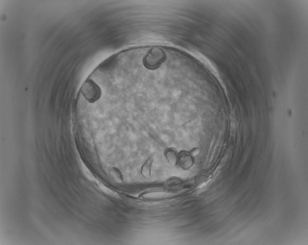 X0000068771390200605191637