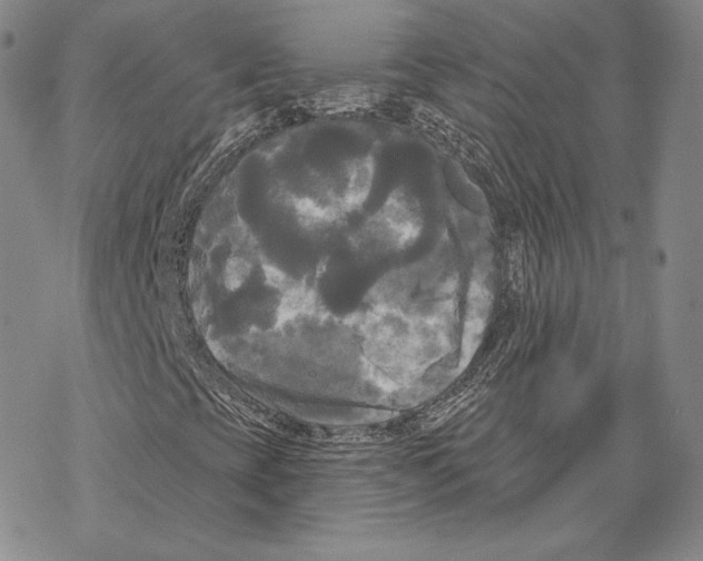 X0000068771393200605191636